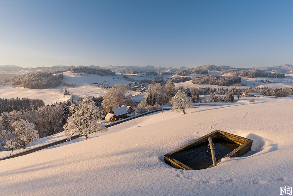 Winter Winterlandschaft Toggenburg St. Gallen Schweiz Schneelandschaft
