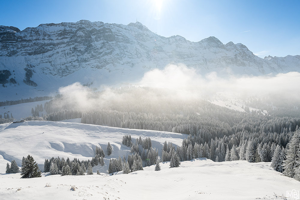 Winter Winterlandschaft Kronberg Alpstein Appenzellerland Schweiz Schneelandschaft