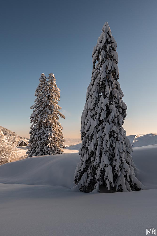 Winter Winterlandschaft Ruppenpass Altstätten St. Gallen Schweiz Schneelandschaft