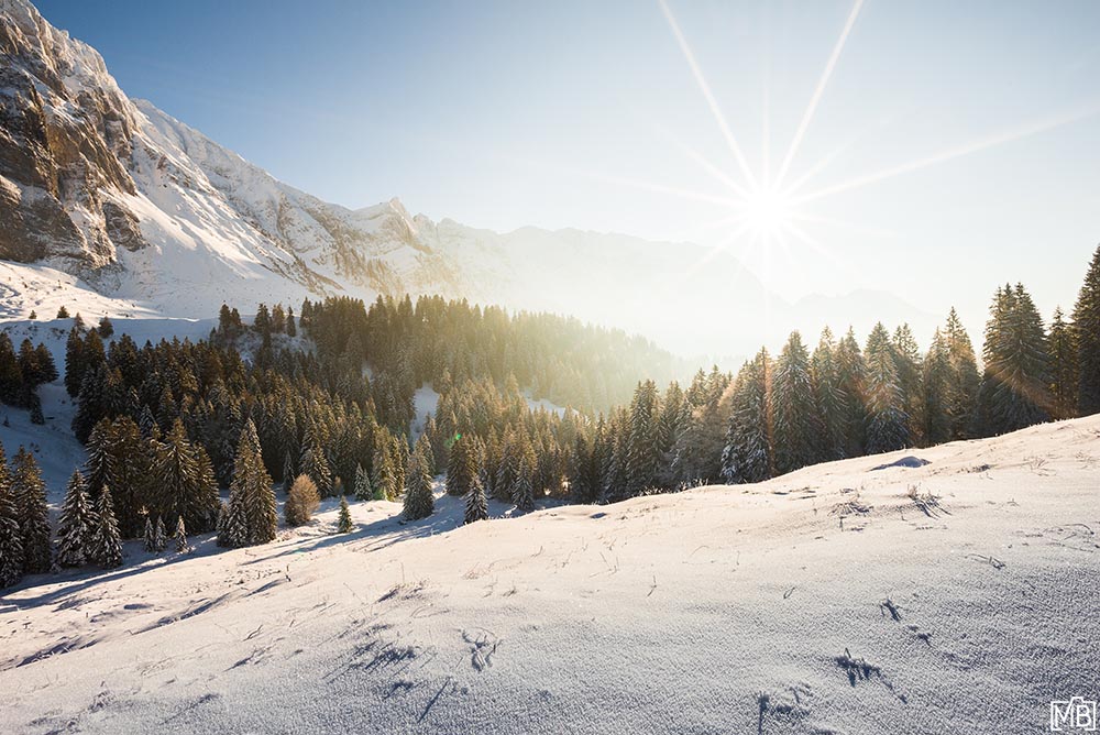 Winter Winterlandschaft Alpstein Schwägalp St. Gallen Appenzellerland Schweiz Sonnenuntergang