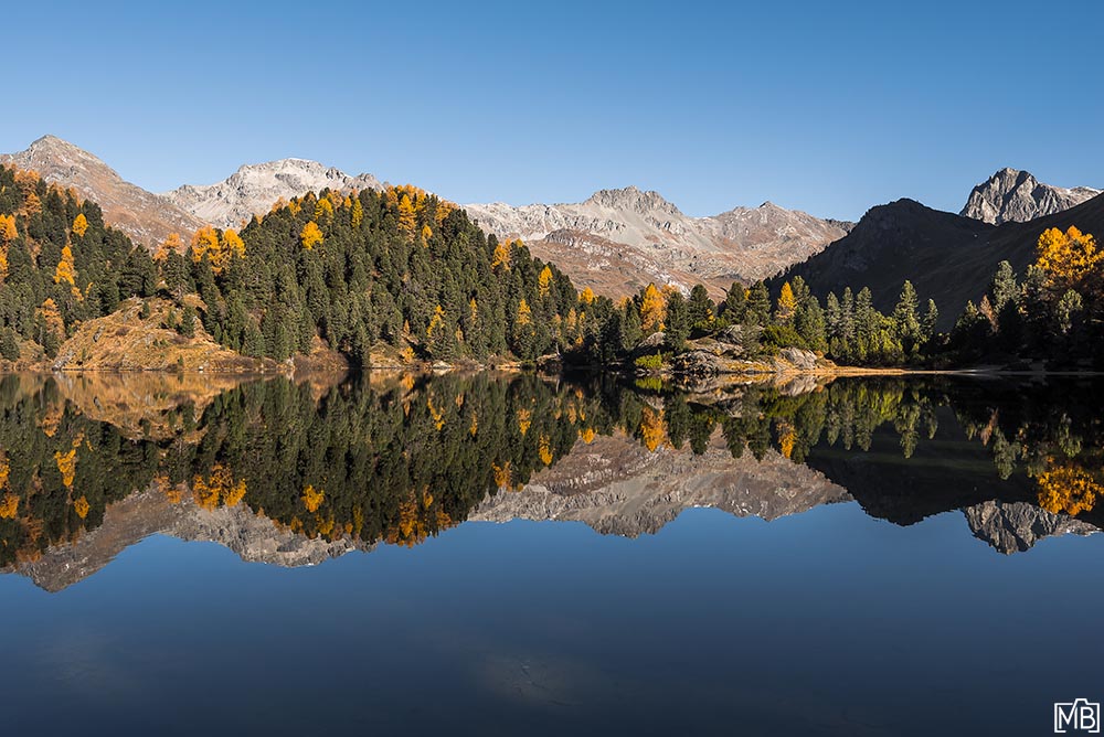 Engadin Herbst Lärchen Lägh da Cavloc Engadin Graubünden Schweiz