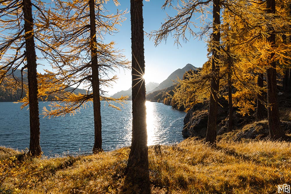 Engadin Sonnenuntergang Herbst Indiansummer goldene Lärchen Silsersee Oberengadin Engadin Graubünden Schweiz