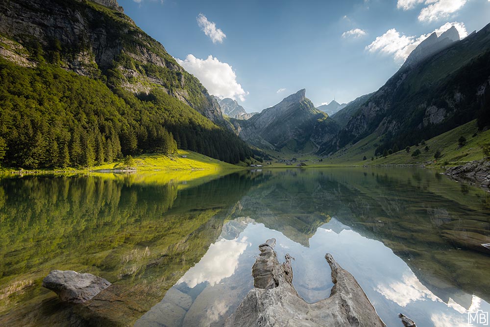 Seen und Gewässer Bergsee Seealpsee Säntis Sommer Alpstein Appenzellerland Wasserauen Schweiz